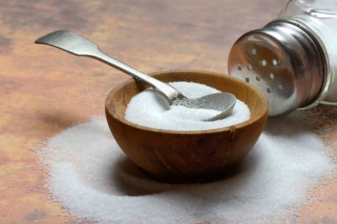 Salt in bowl and salt shaker, table salt
