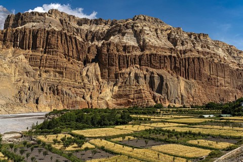 Erosion landscape and cultivated fields near Chhusang in the Kali Gandaki river valley, Mustang,