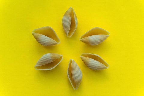 Yellow large conchiglioni pasta in the shape of shells on a yellow background