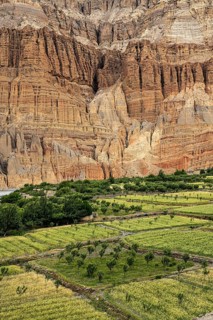 Erosion landscape and cultivated fields near Chhusang in the Kali Gandaki river valley, Mustang,