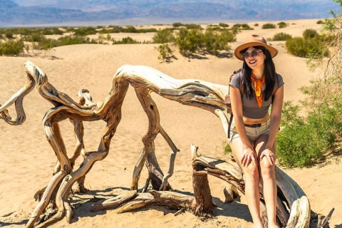 Young woman sitting on a piece of natural driftwood in the sunny mesquite flat sand dunes, smiling