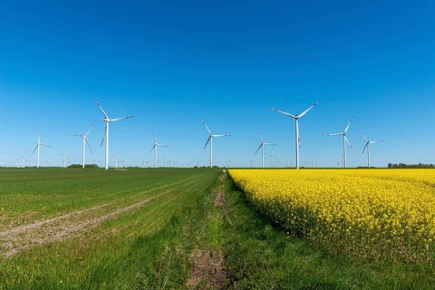 Wind turbines in the Reußenköge Bürgerwindpark, North Frisia, clean energy, power generation,