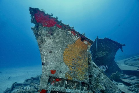 The remains of a rusted shipwreck at the bottom of the sea, decorated with sponges, meteor wreck