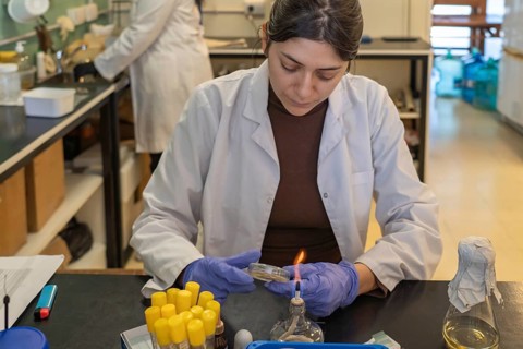 Young female scientist in white lab coat and blue gloves carefully holding a petri dish near a lit