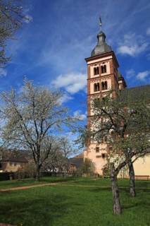 Amorbach Abbey, Monasterium vel Abbatia Amerbacensis, in the Odenwald, former Benedictine Abbey,
