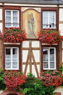 Timbered house, façade with mural and blooming pelargoniums in front of the windows, Kaysersberg