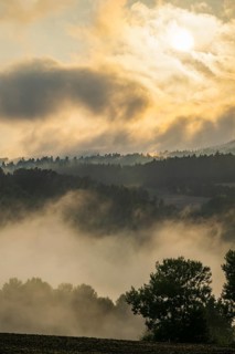 Rising fog in the evening over the forest, near Regensburg, Upper Palatinate, Bavaria, Germany