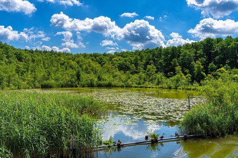 Natural landscape around the Rheinsberg Lake District, Rheinsberg, Brandenburg, Germany