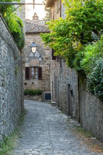 View of a little Street in the little wine town of Montefioralle, Chianti, Florence, Firenze,