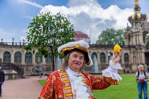 After a five-year break, orange trees are once again in Dresden's Zwingerhof. A total of 52 Italian