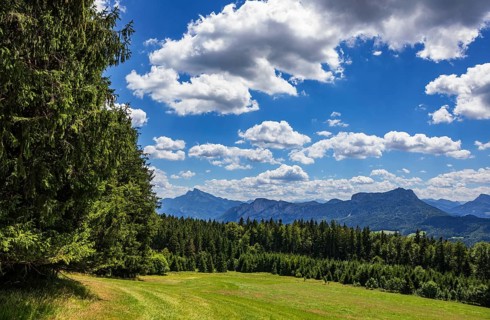 Mountain landscape with green forest and alpine meadow, Mondseeland, Salzkammergut, Upper Austria,