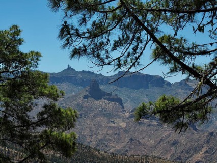 Majestic mountain peaks in the distance, Roque Bentayga and Roque Nublo, surrounded by tall pine
