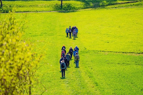 Group of people hiking across an extensive green meadow, Heckengäu nature tour, Aidlingen,