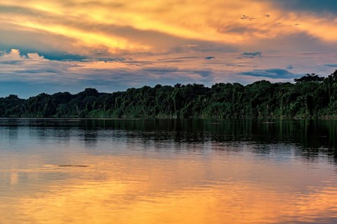 Calm river at sunset with reflected orange sky and thick forest, sunset on the Beni River in the