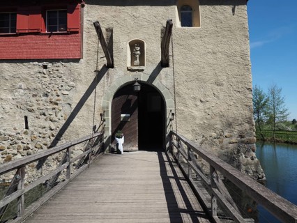 Historic timber-frame structure of a castle with gate and drawbridge, Hagenwil Castle, Hagenwil,