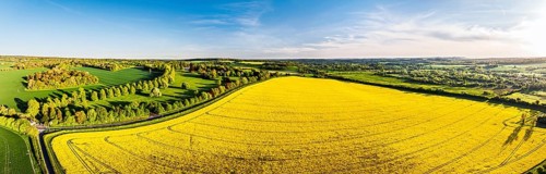 Panorama of Rapeseed Fields and Farms over Horsebridge nad Stockbridge from a drone, Hampshire,