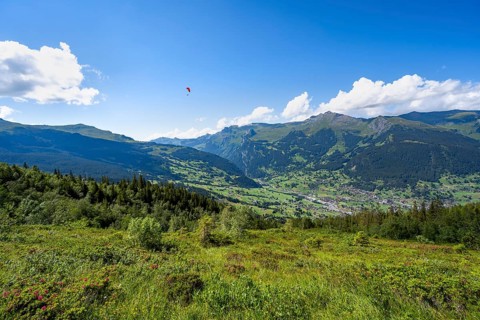 View of the Grindelwald valley, mountain landscape on the Eiger Trail, Bernese Oberland,