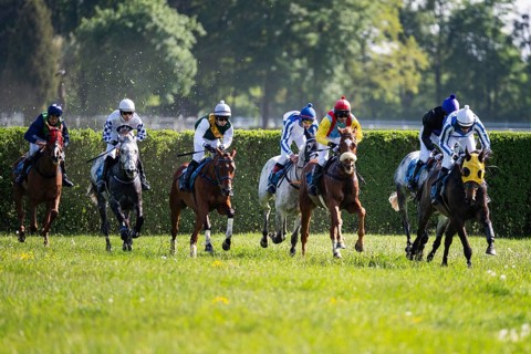 WROCLAW, POLAND - MAY 10, 2026: Horse race track WTWK Partynice. International steeplechase for