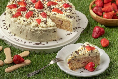 Sliced cake with strawberries, cream and chocolate on a plate on grass
