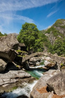 Traditional old stone houses and old stone arch bridge, Splueia Bella, near Foroglio, Val Calnègia,
