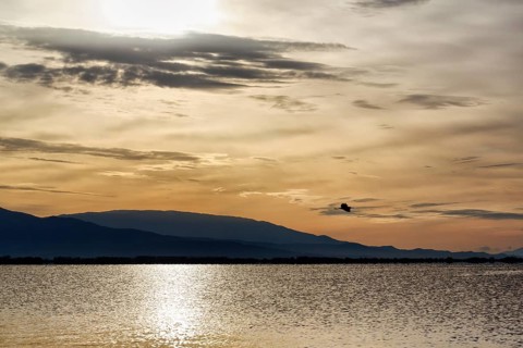 Sunrise at Lake Kerkini, Lake Kerkini, Central Macedonia, Greece