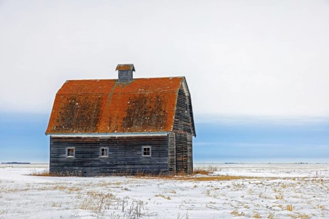 Old wooden barn with gambrel roof on snow covered prairie in winter, Saskatchewan, Canada, North