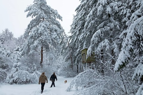 Two woman taking a walk with a dog through a snowy forest, winter, snow, Sieversen, Samtgemeinde