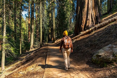 Woman backpacking, walking on a winding trail, exploring the immense natural beauty of ancient