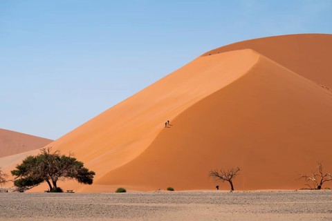 Dune 45, Large Red Sand Dune in the Namib Desert, Namib Naukluft Park, Namibia