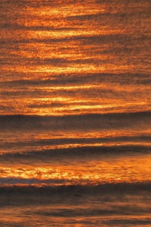 Setting sun colors the sea and small waves golden, Houvig Beach, North Sea, Denmark