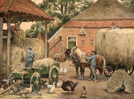The last batch of hay is brought home, a typical rural scene on a farm. The focus is on farmers who