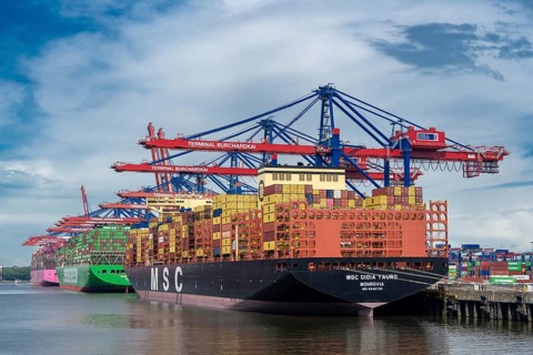 Large container ship MSC Gioia Tauro at the Container Terminal Burchardkai (CTB) in
