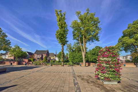 Town centre, square, general architecture, houses, the spire of St Mary's Church, planters with