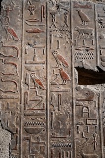 A closeup detail shot of stone carvings of Egyptian hieroglyphs in the Temple of Hatshepsut, Luxor.
