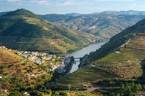 Regua town in Douro Valley Portugal, framed by Douro river water, vineyard terraces, green hills
