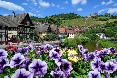 View of the Murg in Obertsrot, Eberstein Castle in the background, near Weisenbach, Murgtal,