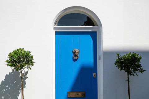 Close-up of a blue door with brass door knocker, round arched window and two plants against white