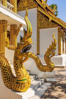 Gold-decorated Naga dragon figures, Buddhist temple complex Wat Phra That Si Chom Thong, near