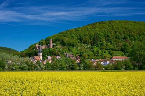 An idyllic town on a green hill, crowned by a castle, with a yellow field in front of it,