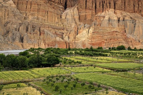 Erosion landscape and cultivated fields near Chhusang in the Kali Gandaki river valley, Mustang,