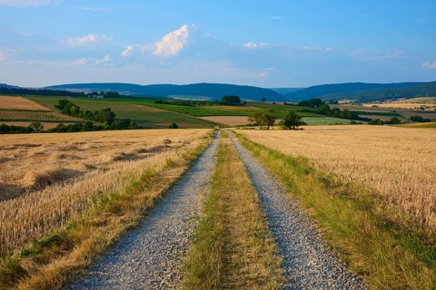 Gravel road through fields that stretch to the horizon, summer, Mönchberg, Miltenberg, Spessart,