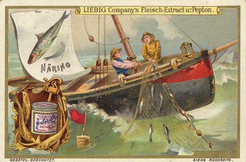 Picture series Fishing, catching herring. You can see fishermen on a sailboat retrieving a net,