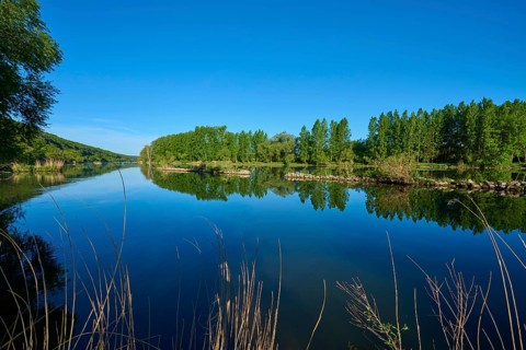 Quiet river landscape with tree reflection and clear blue sky, Marktheidenfeld, Homburg am Main,