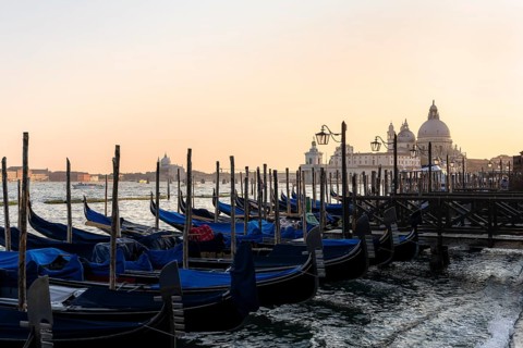 Venetian gondolas, boat dock at St. Mark's Square, in the back Basilica Santa Maria della Salute in