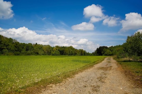 Way to the quarry lake, left field, green, blue sky, clouds, shrubs behind, agricultural area,