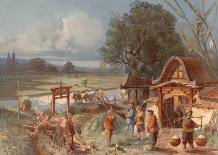 Traditional rice farming, Oryza sativa, in East Asia, including scenes such as ploughing with water