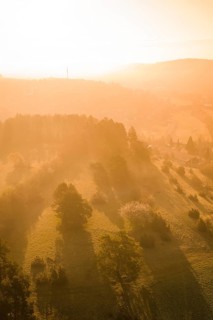 Forest and meadows in sunset light with long shadows, Deufringen, Aidlingen, Heckengäu region,