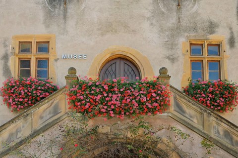 Rouffach Local History Museum, façade adorned with flowering pelargoniums (Pelargonium), Rouffach,