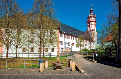 Michaelisbrunnen, Ehrenstein Palace and Park, Renaissance Palace, Palace Complex, Castle Tower,