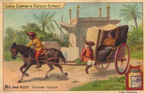 Picture series How to Travel, Yucatan, a Caleza, a traditional Mayan carriage pulled by a horse,